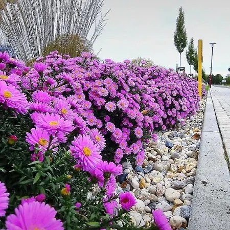 Haus Vier 그로스래셴