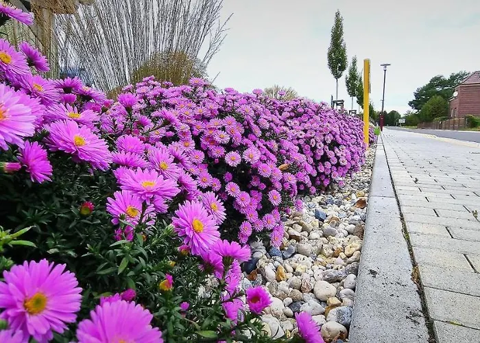Haus Vier Grossraeschen